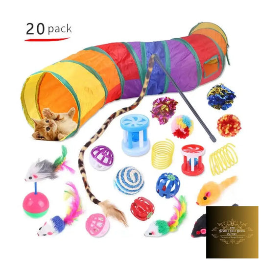 20 Pcs Assorted Cat Toys Toys