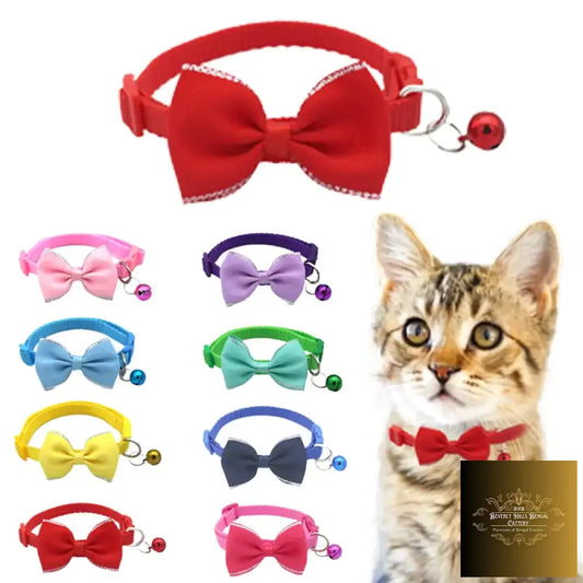 Bow And Bell Pet Collar