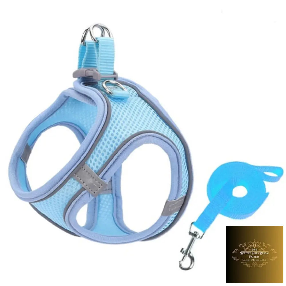 Escape Proof Small Pet Harness Leash Set Blue / L