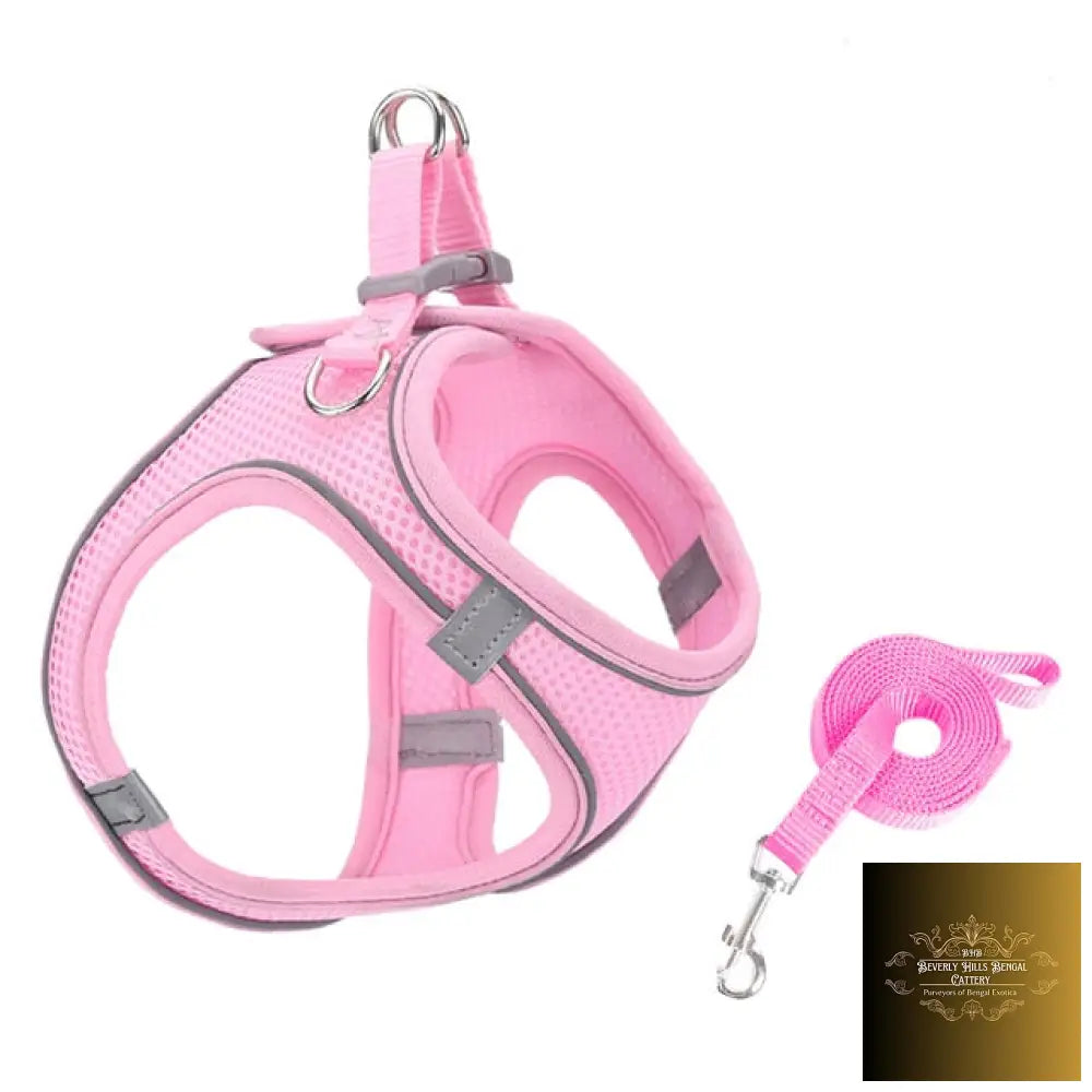 Escape Proof Small Pet Harness Leash Set Pink / M