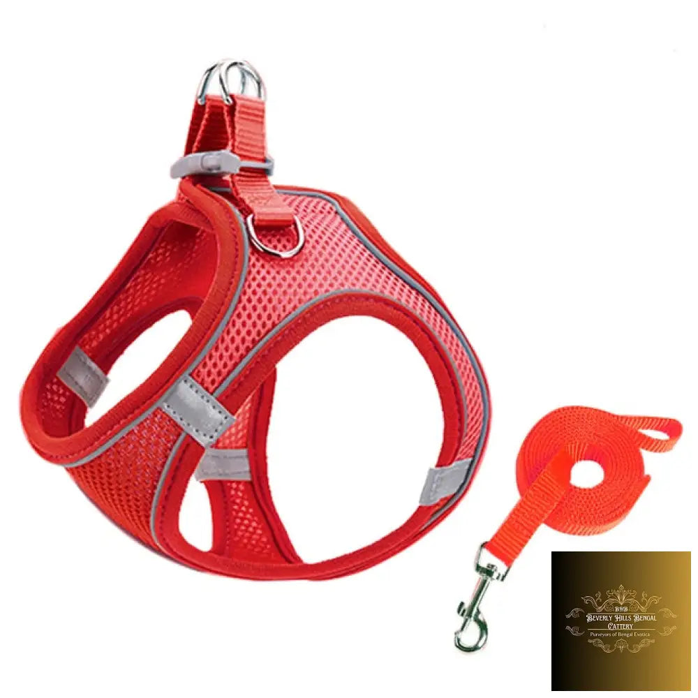 Escape Proof Small Pet Harness Leash Set Red / S