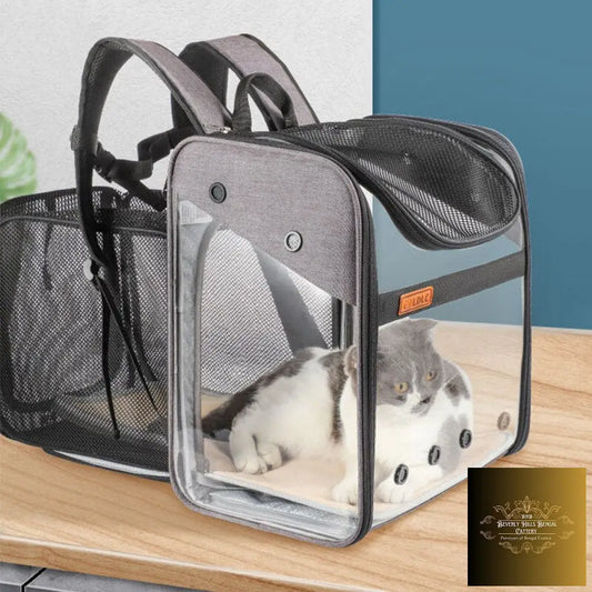 Pet Expandable Backpack