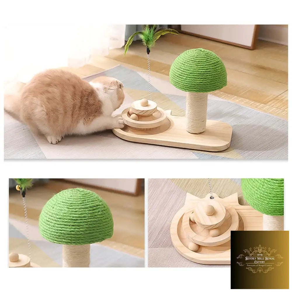 Pet Tree Scratching Post With Toy Toys