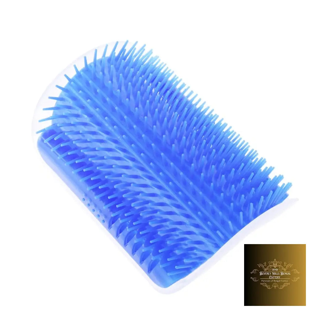 Pet Wall Corner Self Comb Blue